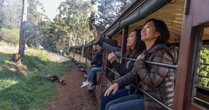 Puffing Billy Train & Penguin Parade